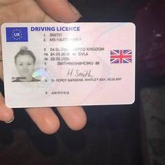 renew of driving licence
